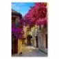 Preview: Eine enge Gasse in Italien, geschmückt mit üppigen, pinken Bougainvillea-Blüten, strahlt mediterranes Flair aus. Preview: Eine enge Gasse in Italien, geschmückt mit üppigen, pinken Bougainvillea-Blüten, strahlt mediterranes Flair aus.
